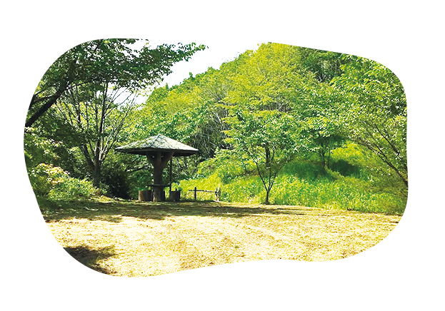 キャンプ場の画像