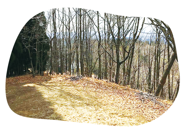 キャンプ場の画像